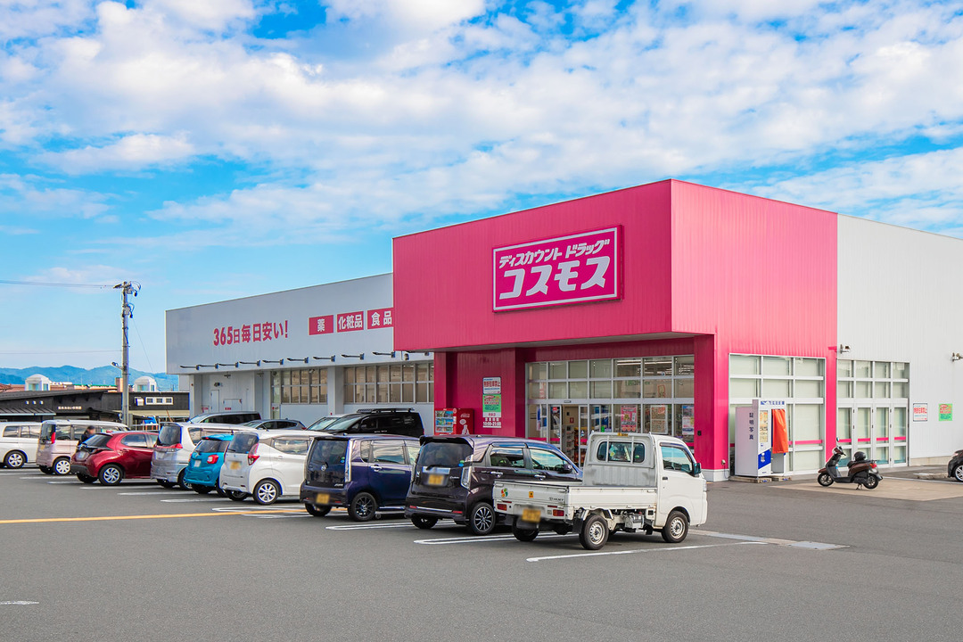 ドラッグストアコスモス 寺家店