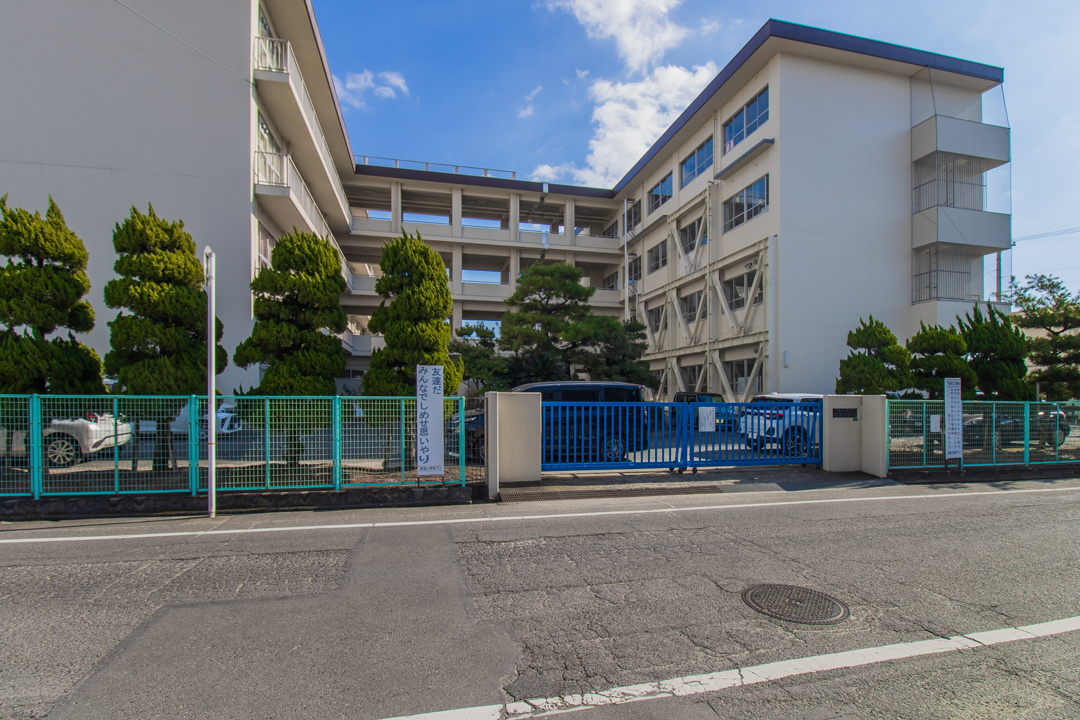 新涯小学校