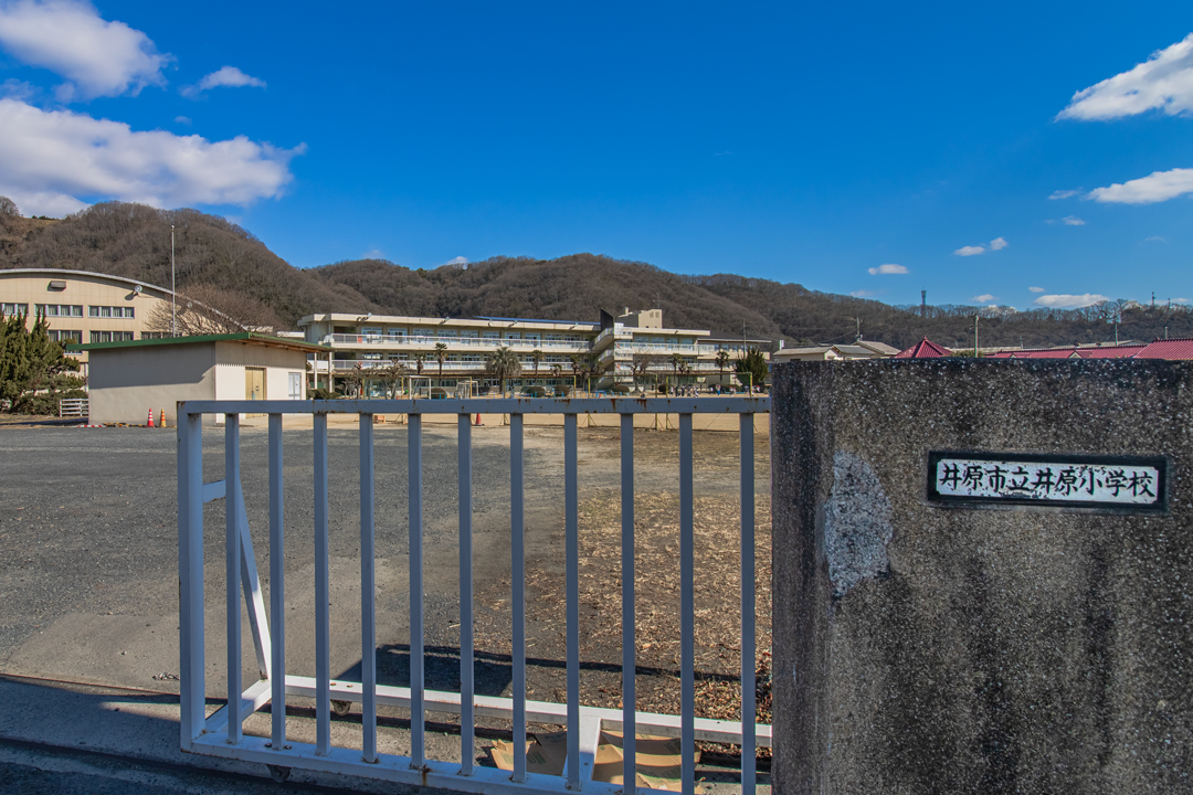 井原小学校