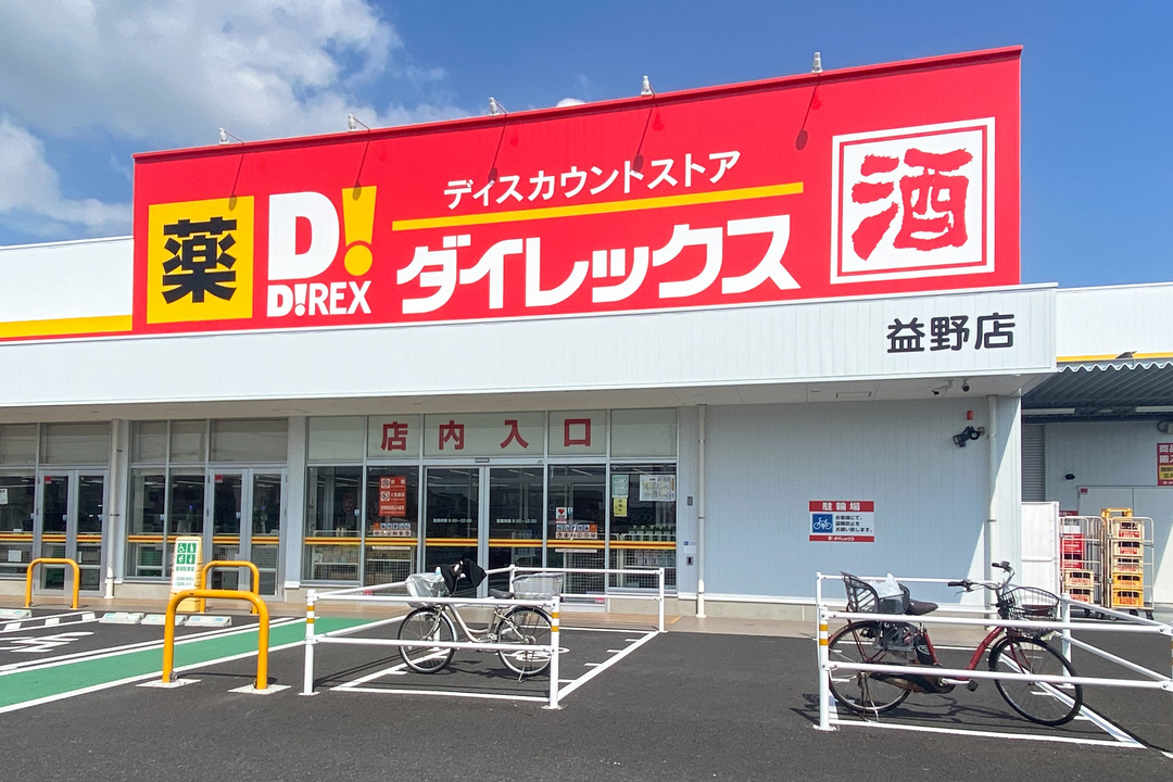 ダイレックス益野店