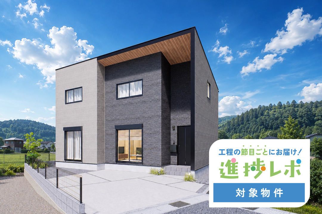 11号地