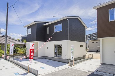 4号地