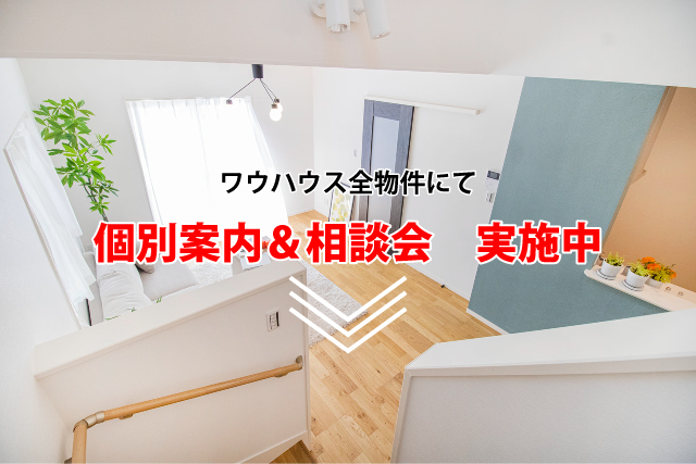 個別相談会