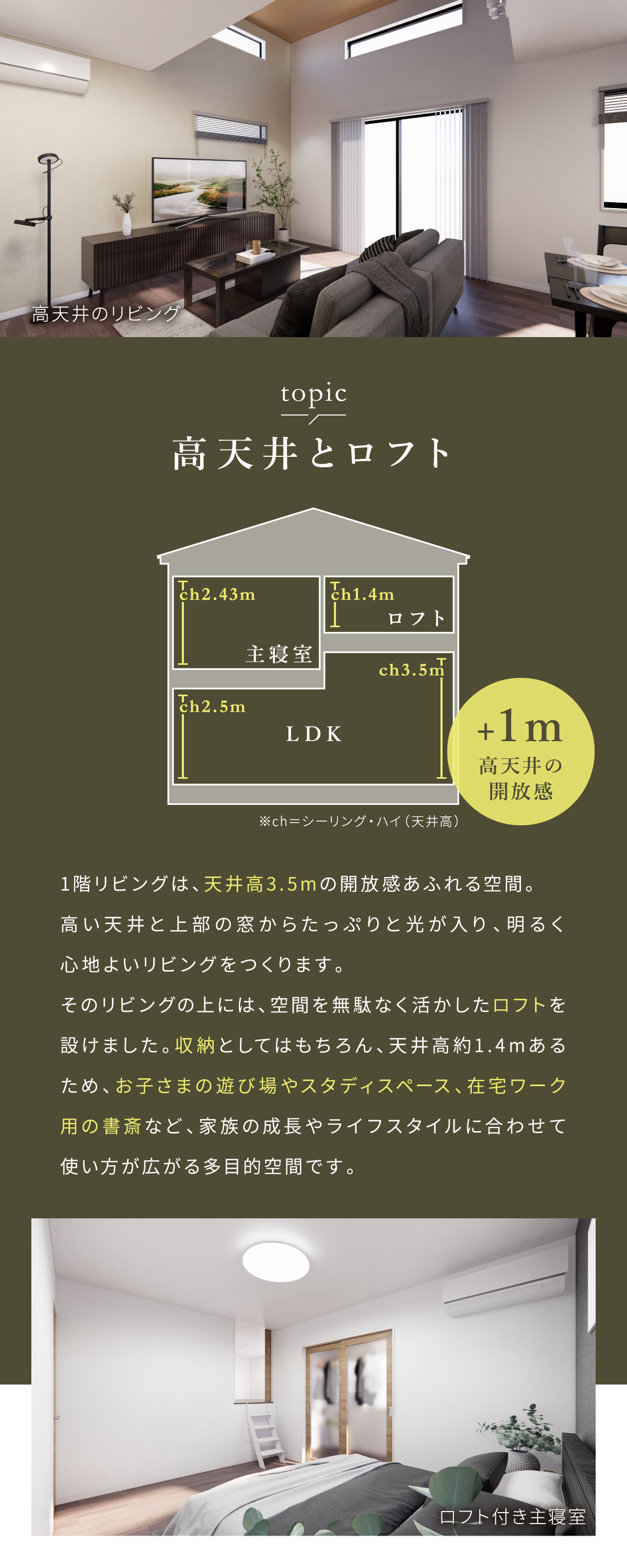 1階リビングは、天井高3.5mの開放感あふれる空間。 高い天井と上部の窓からたっぷりと光が入り、明るく心地よいリビングをつくります。 そのリビングの上には、空間を無駄なく活かしたロフトを設けました。