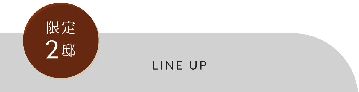 ラインナップ｜限定2邸