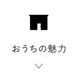 ラインナップ