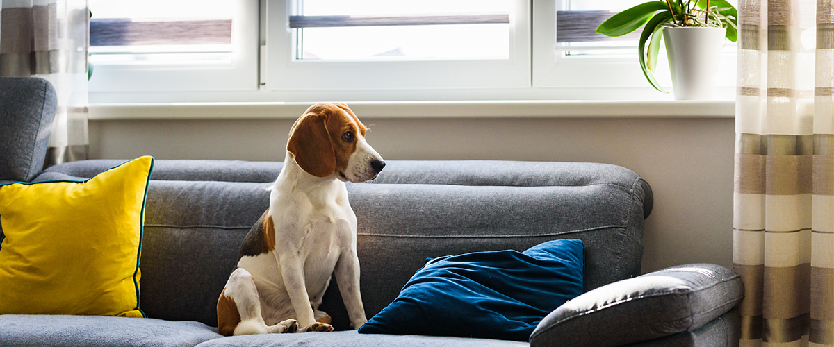 汚れや傷に強いタイプ